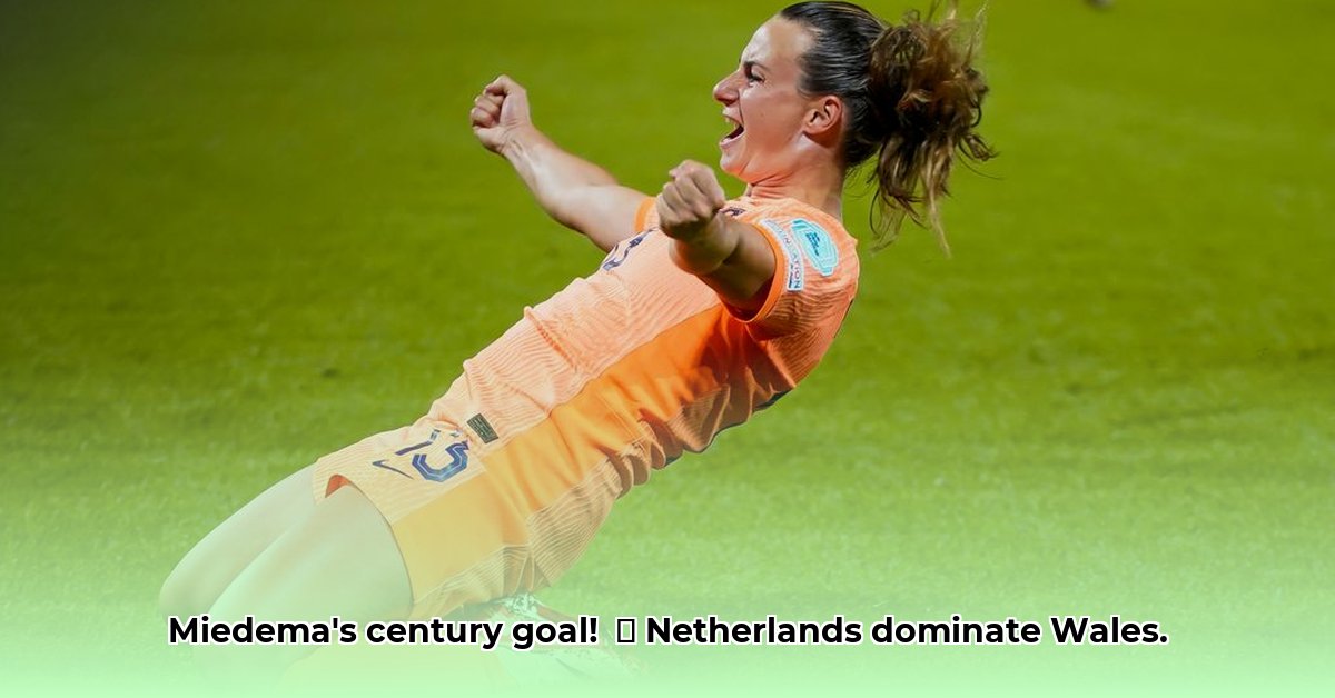 samenvatting-nederland-wales